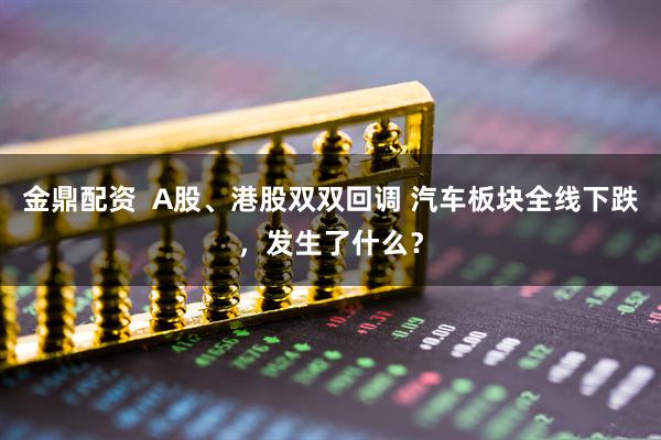 金鼎配资  A股、港股双双回调 汽车板块全线下跌，发生了什么？
