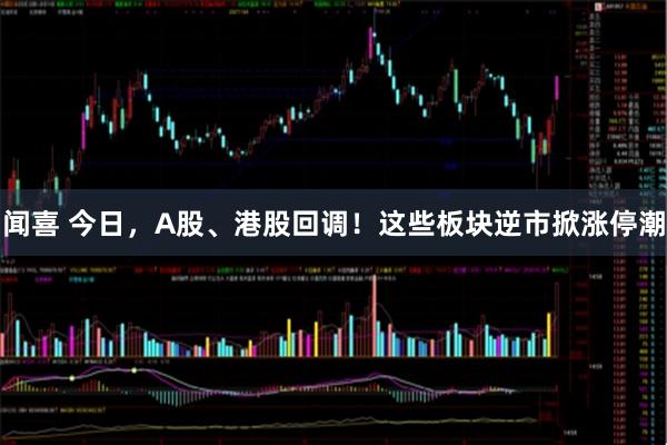 闻喜 今日，A股、港股回调！这些板块逆市掀涨停潮