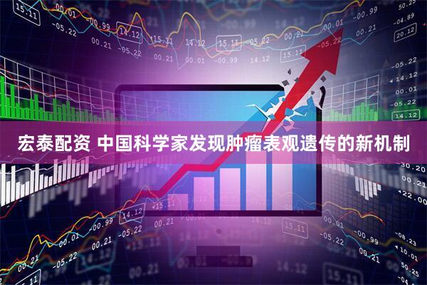宏泰配资 中国科学家发现肿瘤表观遗传的新机制