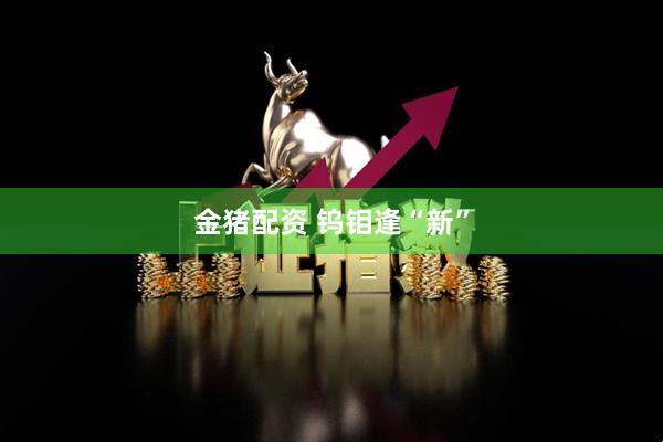 金猪配资 钨钼逢“新”