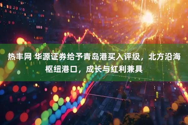 热丰网 华源证券给予青岛港买入评级，北方沿海枢纽港口，成长与红利兼具