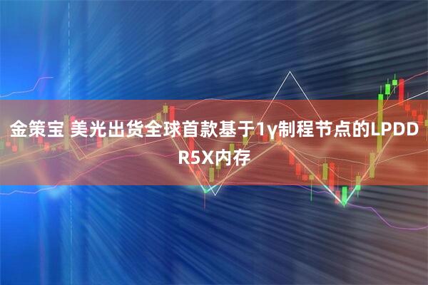 金策宝 美光出货全球首款基于1γ制程节点的LPDDR5X内存