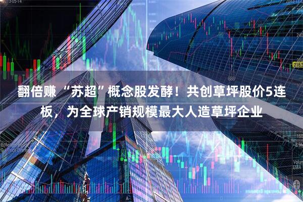 翻倍赚 “苏超”概念股发酵！共创草坪股价5连板，为全球产销规模最大人造草坪企业