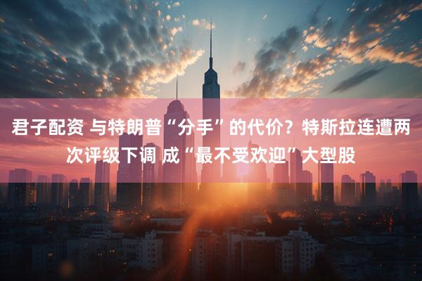 君子配资 与特朗普“分手”的代价？特斯拉连遭两次评级下调 成“最不受欢迎”大型股