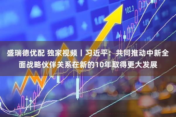 盛瑞德优配 独家视频丨习近平：共同推动中新全面战略伙伴关系在新的10年取得更大发展