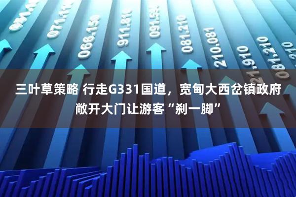 三叶草策略 行走G331国道，宽甸大西岔镇政府敞开大门让游客“刹一脚”