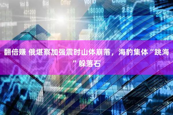 翻倍赚 俄堪察加强震时山体崩落，海豹集体“跳海”躲落石