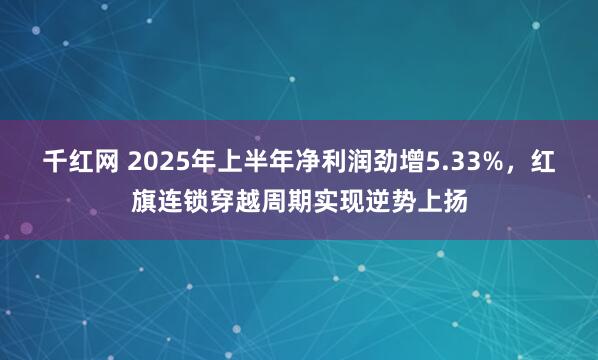 千红网 2025年上半年净利润劲增5.33%，红旗连锁穿越周期实现逆势上扬